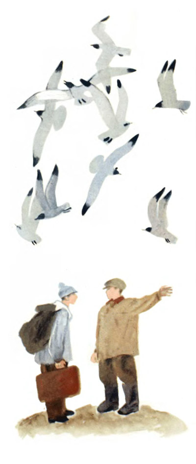 Иллюстрации для книги С. Сахарнова "Безногие головоногие":