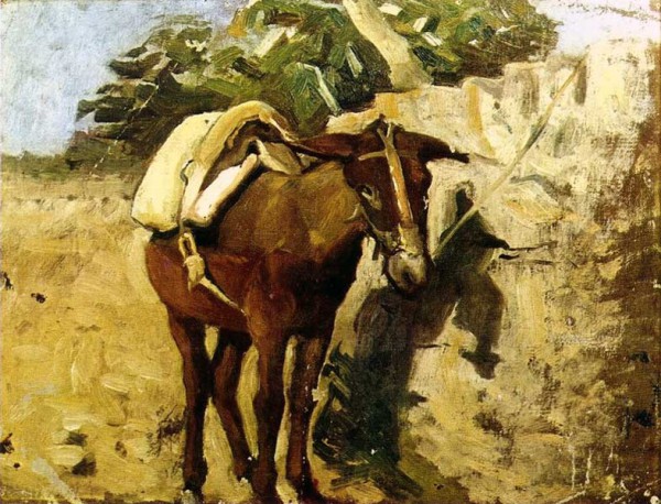 "Мул" 1898