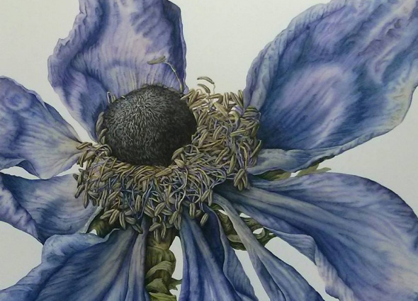 Мастер-класс «Ботаническая акварель: пишем сезонные цветы и фрукты» с британской художницей Джулией Трики