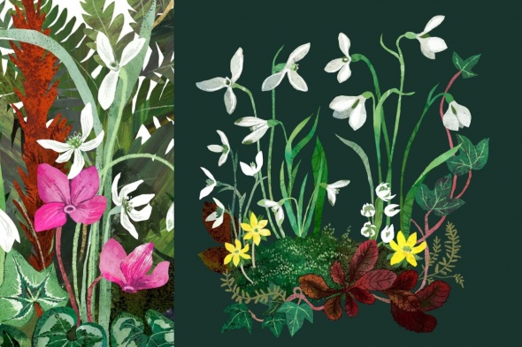 Мастер-класс «Ботаническая иллюстрация в Procreate»