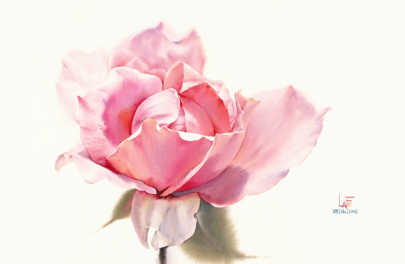 Выездной мастер-класс на Кипре «Рисуем розы акварелью» c художником ЛаФе из Таиланда