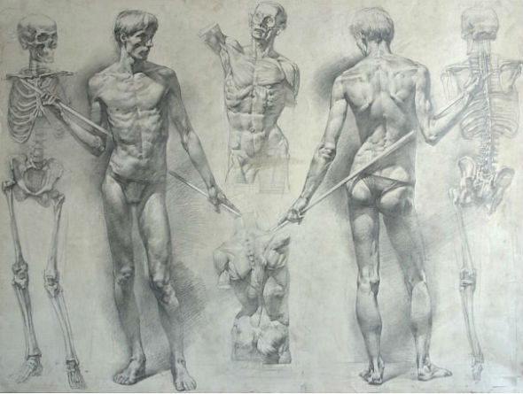Экспресс-курс по рисунку «Пластическая анатомия: обнаженная натура и портрет» с Виктором Скрылёвым