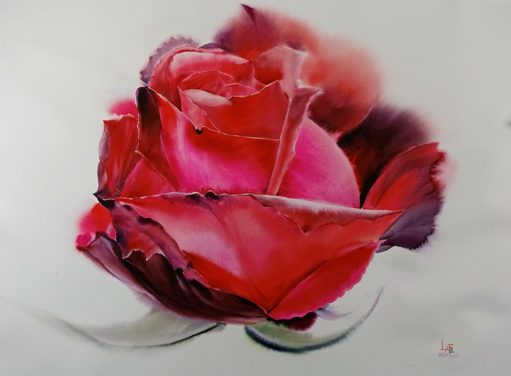 Роза в технике акварель, художник La Fe